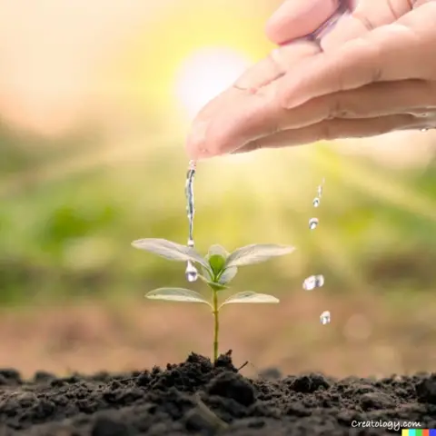 Water trickles from a caring hand onto a sprouted seedling in rich soil, beneath brilliant sunset, 3D renders, digital art.